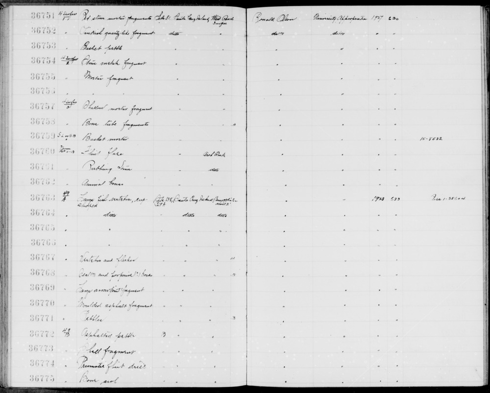 Documentation associated with Hearst Museum object titled Shell fragment, accession number 1-36773, described as Shell fragment