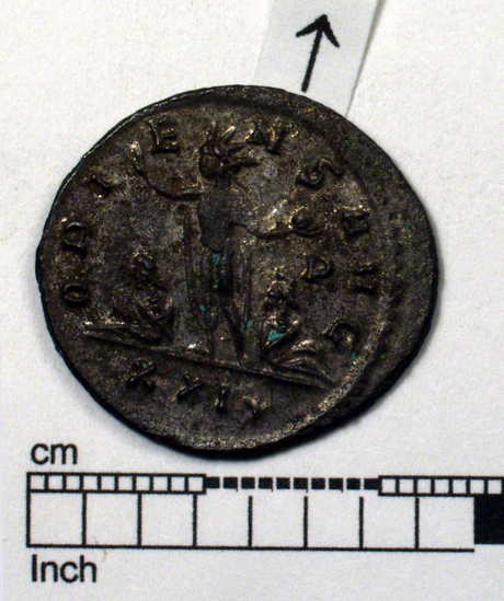 Hearst Museum object 7 of 8 titled Coin: billon antoninianus, accession number 8-4043, described as Coin; AG; Billon. Antoninianus; Roman. 3.60 grams, 24 mm. Aurelian, 270-275 AD. Obverse: IMP AVRELIANVS AVG, Bust r. radiate. Reverse: ORIENS AVG, Sol striding l., two captives at his feet; P in field r., in exergue XXI