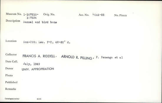 Documentation associated with Hearst Museum object titled Faunal remains, accession number 1-107528, described as Mammal and bird bone.