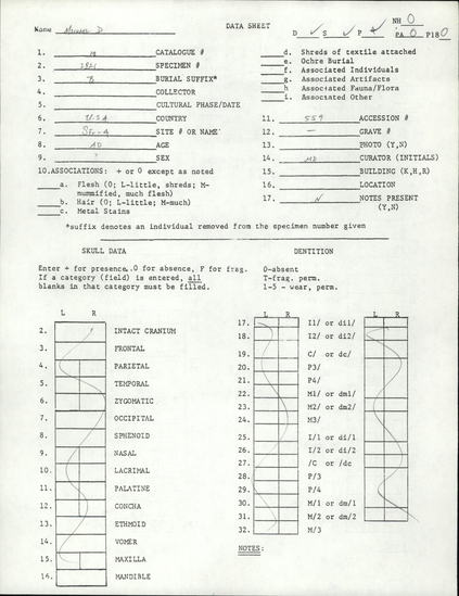 Documentation associated with Hearst Museum object titled Human remains, accession number 12-2821(0), described as The incomplete remains of a young adult male.