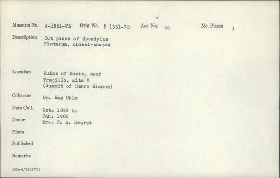 Documentation associated with Hearst Museum object titled Worked shell, accession number 4-1365, described as Cut piece of Spondylus pictorum, chisel-shaped.