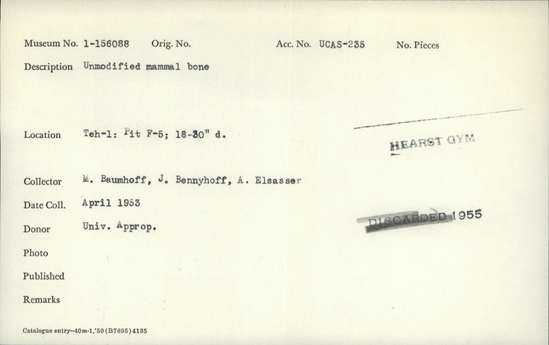 Documentation associated with Hearst Museum object titled Faunal remains, accession number 1-156088, described as Unmodified, mammal.