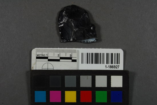 Hearst Museum object titled Blade fragment, accession number 1-186927, described as Obsidian