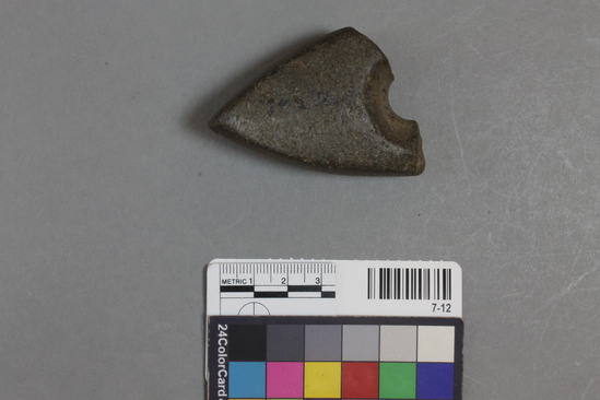 Hearst Museum object titled Stone axe, accession number 7-12, described as Part of perforated stone axe