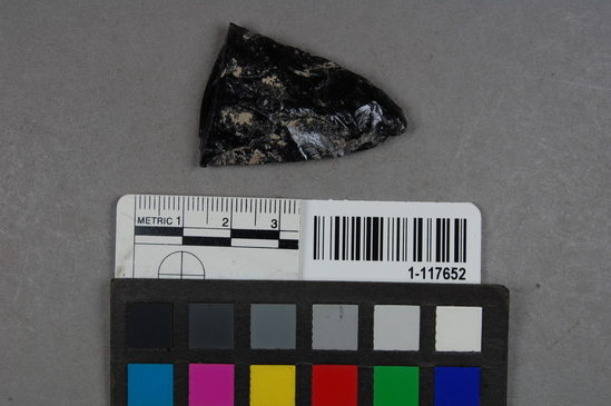 Hearst Museum object titled Blade, accession number 1-117652, described as Obsidian blade fragment