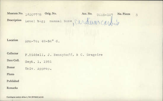 Documentation associated with Hearst Museum object titled Level bag, accession number 1-207778, described as Mammal bone. Cardium corbis (=Clinocardium nuttallii).