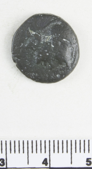 Hearst Museum object titled Coin: æ, accession number 8-8070, described as Coin. Bronze, 17 mm. diameter, 3.475 g. Obverse: Athena’s helmeted head facing right, (Roma?). Reverse: Standing figure with spear in right hand (Heracles with club) (Virtus?).