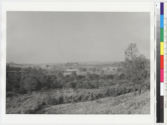 Hearst Museum object titled Black-and-white negative, accession number 15-6153, described as View looking valleyward