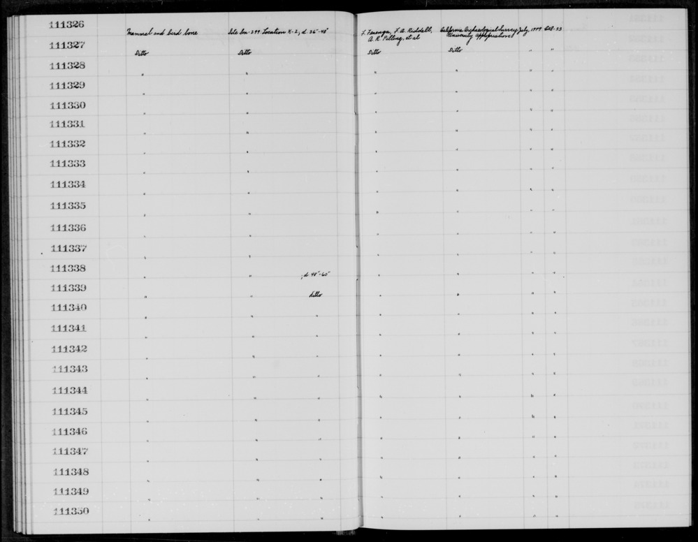 Documentation associated with Hearst Museum object titled Faunal remains, accession number 1-111350, described as Mammal and bird.