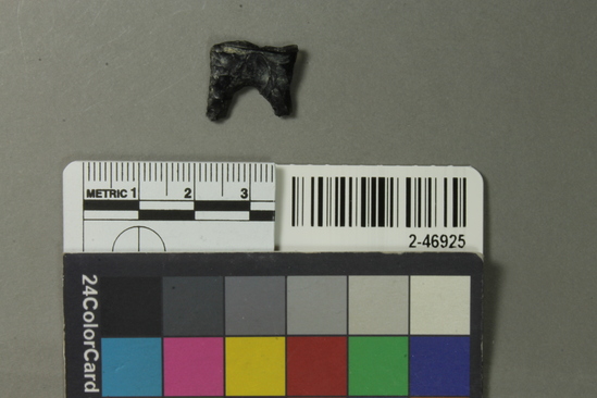 Hearst Museum object titled Projectile point, accession number 2-46925, described as No description given on catalog card.