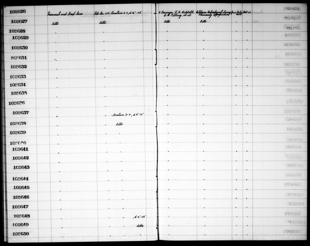 Documentation associated with Hearst Museum object titled Faunal remains, accession number 1-105634, described as Mammal and bird.