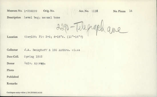 Documentation associated with Hearst Museum object titled Level bag, accession number 1-206099, described as Mammal bone.