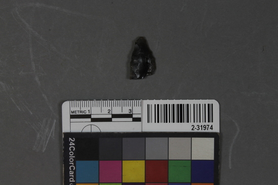 Hearst Museum object titled Point fragment, accession number 2-31974, described as Obsidian.