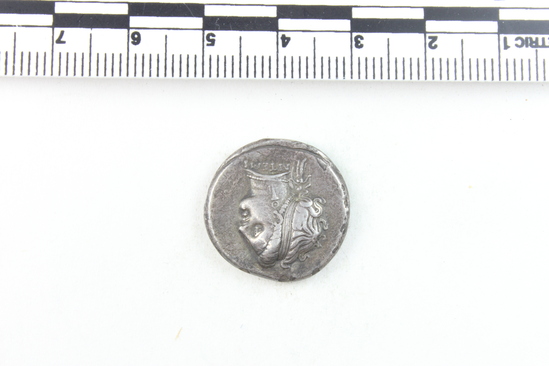 Hearst Museum object 2 of 6 titled Coin: ar didrachm, accession number 8-5467, described as Coin; AR; Didrachm; Greek. 241 BC. Naples, Italy. Obverse: ATTEMI, head of female r. diademed; behind, Artemis (?) (Latin: Diana) l. holding 2 long torches. Reverse: ΝΕΟΓΟΛΙΤΩΝ, man-headed bull r.; above, Nike flying r. crowning bull with wreath; beneath bull, N. Remarks: "condition, excellent" "(letters “dot serified”)