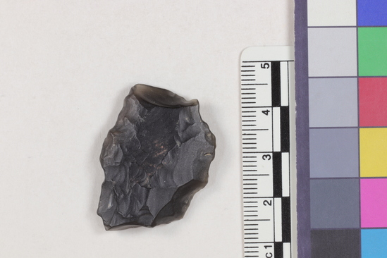 Hearst Museum object titled Projectile point fragment, accession number 16-14368, described as Projectile point fragment; obsidian; triangular; weight: 8.72 grams; length: 3.38 cm; width: 2.46 cm; depth: 0.66 cm; irregular convex sides; broken base.