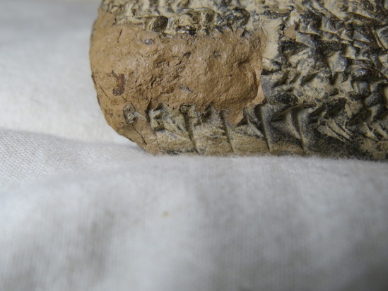 Hearst Museum object 31 of 187 titled Cuneiform tablet, accession number 9-2919, described as Mesopotamian cuneiform tablet