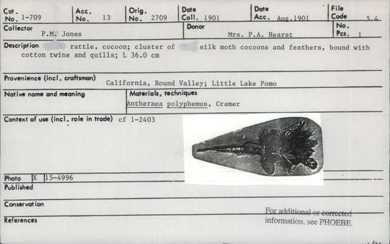 Documentation associated with Hearst Museum object titled Rattle, accession number 1-709, described as Cocoon. Cluster of silk moth cocoons and feathers, bound with cotton twine and quills.  Made with Antheraea polyphemus, Cramer.