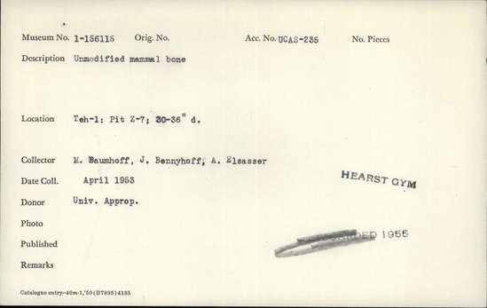 Documentation associated with Hearst Museum object titled Faunal remains, accession number 1-156115, described as Unmodified, mammal.