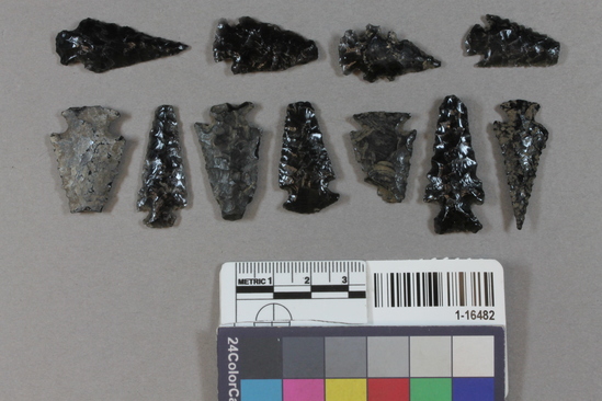 Hearst Museum object titled Projectile points, accession number 1-16482, described as small obsidian arrowpoints