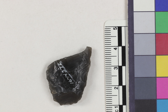 Hearst Museum object 1 of 2 titled Flake fragment, accession number 16-14372, described as Projectile point fragment; obsidian; triangular; weight: 4.93 grams; length: 3.22 cm; width: 2.2 cm; depth: 0.8 cm.