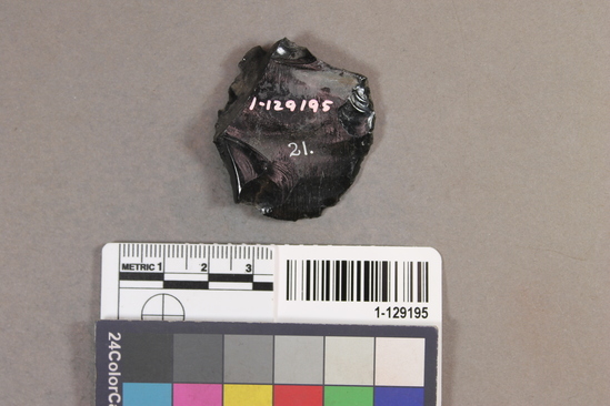 Hearst Museum object titled Flake, accession number 1-129195, described as Obsidian flake tool.