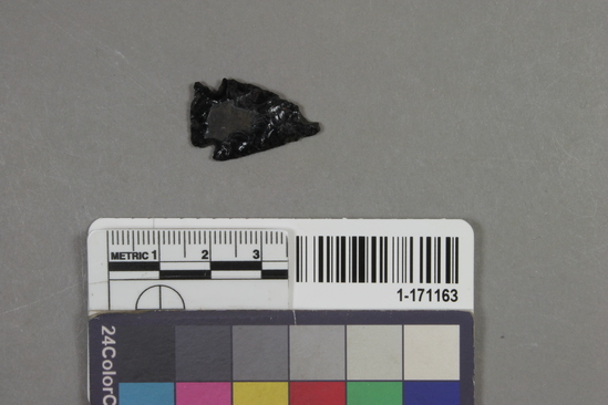 Hearst Museum object titled Projectile point, accession number 1-171163, described as obsidian projectile point