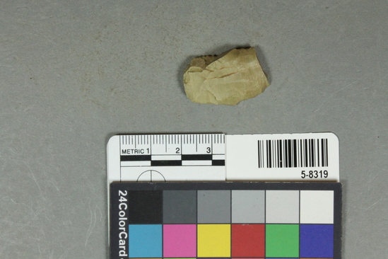 Hearst Museum object 11 of 25 titled Flakes, accession number 5-8319, described as Chert flakes