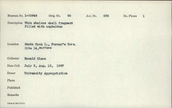 Documentation associated with Hearst Museum object titled Shell fragment, accession number 1-30946, described as Thin abalone shell fragment filled with asphaltum.