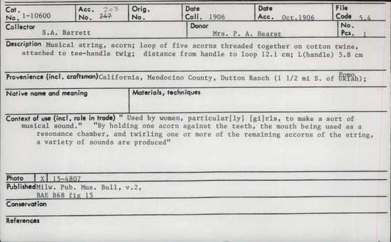 Documentation associated with Hearst Museum object titled Musical instrument, accession number 1-10600, described as Acorn. Loop of five acorns threaded together on cotton twine, attached to tee - handle twig.