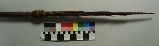 Hearst Museum object titled Spear, accession number 11-2987, described as Bone barbed spear; red and yellow fiber wrapping near barbs, 11” long.