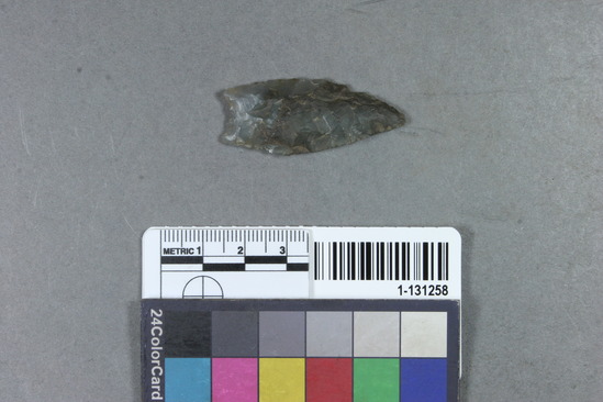 Hearst Museum object titled Point, accession number 1-131258, described as Chert point.