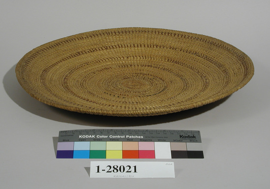 Hearst Museum object titled Tray, accession number 1-28021, described as Basketry tray, coiled.