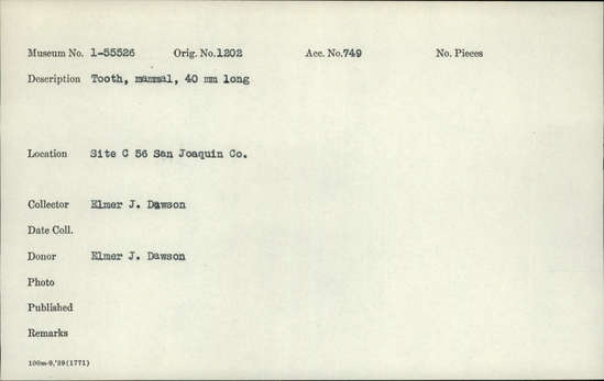 Documentation associated with Hearst Museum object titled Tooth, accession number 1-55526, described as Mammal tooth