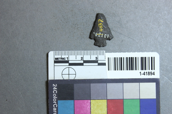 Hearst Museum object titled Projectile point, accession number 1-41894, described as Obsidian arrow head