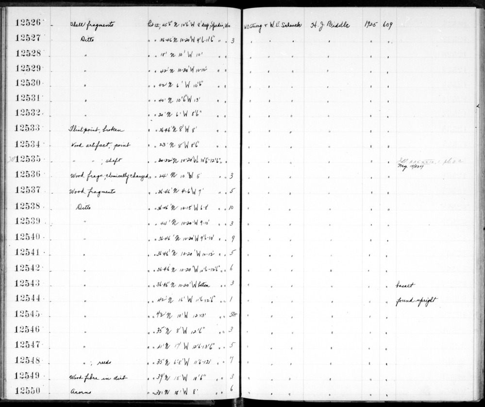 Documentation associated with Hearst Museum object titled Wood fragments, accession number 2-12539, described as Wood fragments