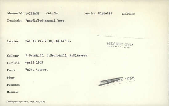 Documentation associated with Hearst Museum object titled Faunal remains, accession number 1-156038, described as Unmodified mammal bone.