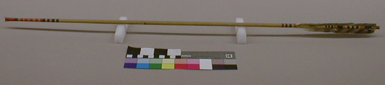 Hearst Museum object titled Arrow, accession number 1-1188, described as Arrow