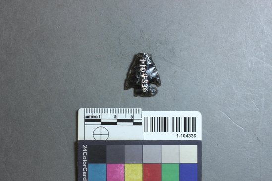 Hearst Museum object titled Point, accession number 1-104336, described as Projectile, obsidian