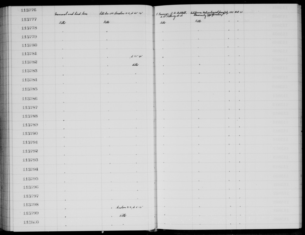 Documentation associated with Hearst Museum object titled Faunal remains, accession number 1-113800, described as Mammal and bird.