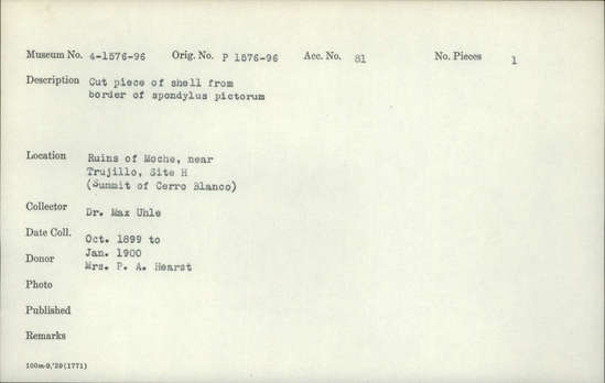 Documentation associated with Hearst Museum object titled Cut shell piece, accession number 4-1587, described as Cut piece of shell from border of Spondylus pictorum.