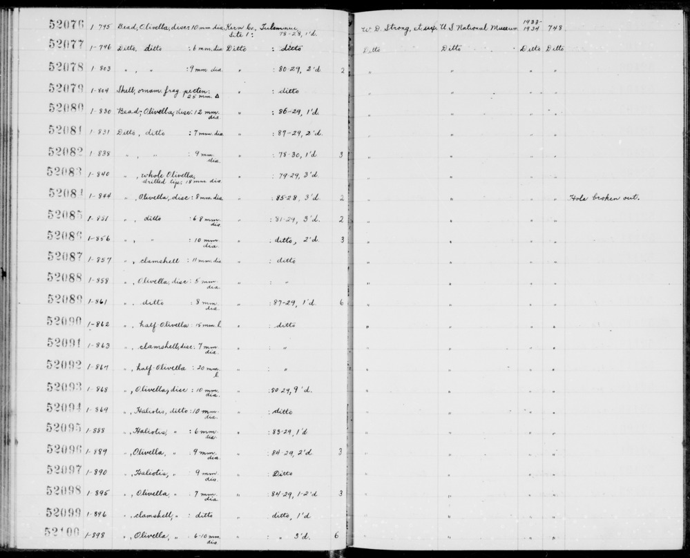 Documentation associated with Hearst Museum object titled Shell, accession number 1-52079, described as Ornamental, fragment.