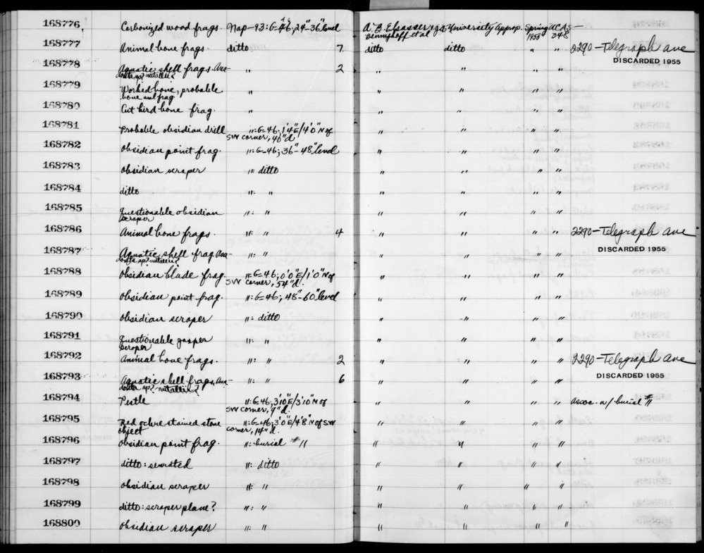 Documentation associated with Hearst Museum object titled Shell fragment, accession number 1-168787, described as Aquatic; "Anadonta sp? (prob. nuttallii)" added in pencil.