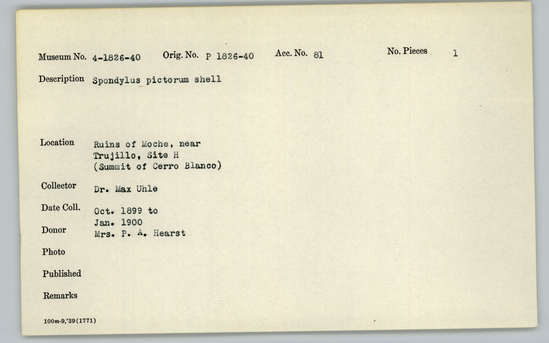 Documentation associated with Hearst Museum object titled Shell, accession number 4-1836, described as Spondylus pictorum shell.
