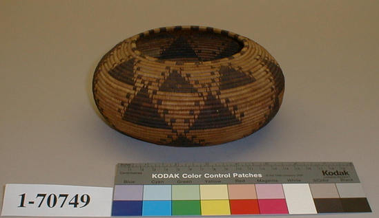 Hearst Museum object titled Bowl basket, accession number 1-70749, described as Coiled, bowl shape. Tag "Pomo".  Interior tag " "17NTT" Pomo". Per Ralph Shanks:  Coiled basket globular bowl.  The basket has a starting knot with a weft foundation.  The rest of the basket has a three rod foundation, probably willow.  The weft materials are sedge root as the background, with the designs in black bulrush root.  Two triangles are on the base.  On the sides are various sized triangles with quail top not like extensions.  The rim has alternating sedge root and bulrush.  The workface is on the exterior, with very few split stitches on the back face.  The weft fag ends and the moving ends are concealed.  The work direction is to the left.  The basket has a plain wrapped rim with a tapered coil ending.  This basket is attributed to the Pomo due to the materials, work direction, starting knot, and shape.