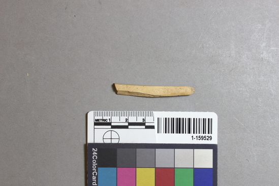 Hearst Museum object titled Worked bone, accession number 1-159529, described as Worked