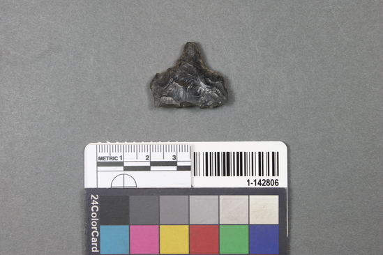 Hearst Museum object titled Scraper awl fragment, accession number 1-142806, described as Obsidian.