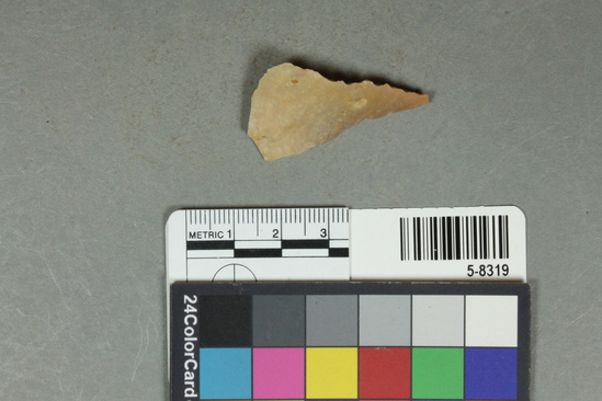 Hearst Museum object 17 of 25 titled Flakes, accession number 5-8319, described as Chert flakes