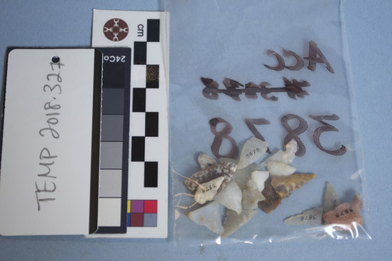 Hearst Museum object 1 of 2 titled Projectile points, accession number TEMP 2018.327, described as Assemblage of small projectile points made out of white, pink, and brown quartz.