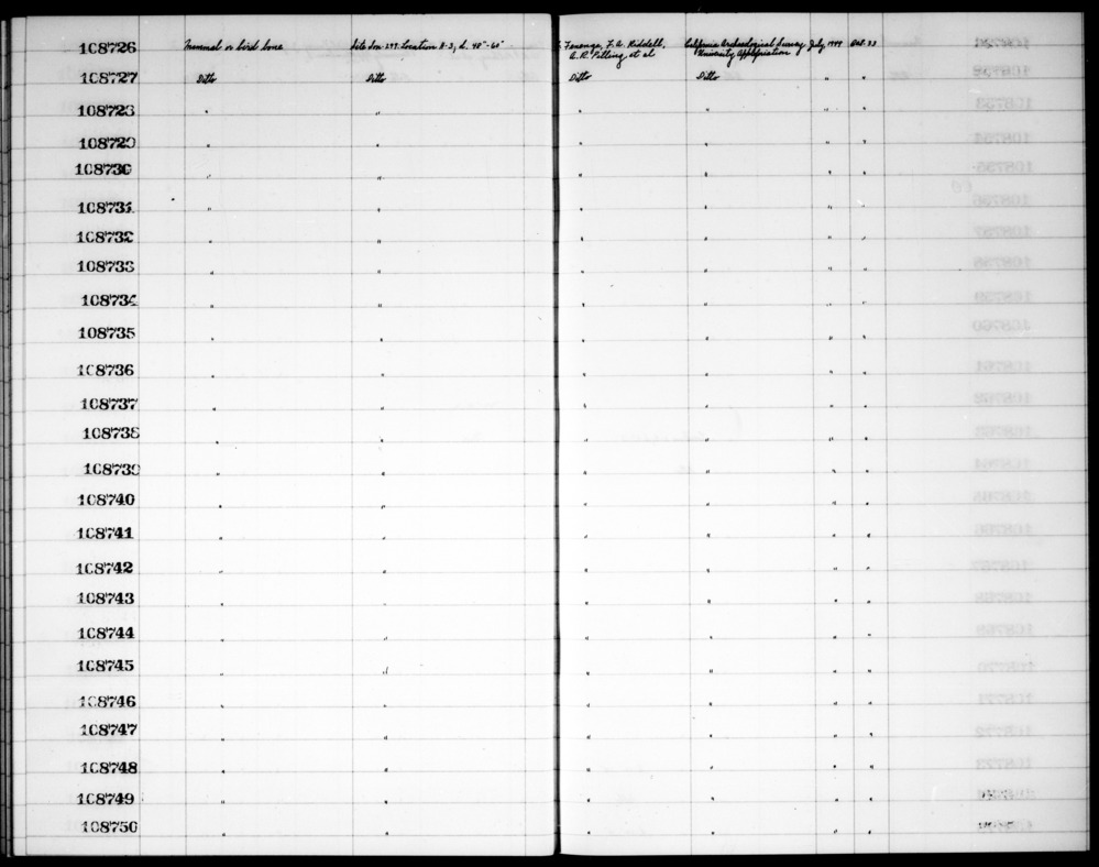 Documentation associated with Hearst Museum object titled Faunal remains, accession number 1-108741, described as Mammal or bird.