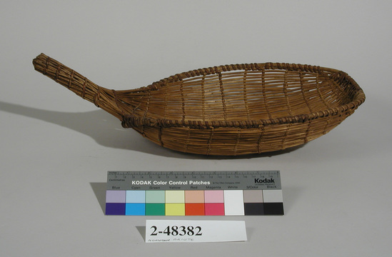 Hearst Museum object 1 of 2 titled Seed beater, accession number 2-48382, described as Oval scoop shape; plain twined openwork. Made of willow shoot.